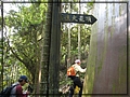 2011-12-18 11-02-21往大籠頂途中.JPG